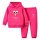 thumbnail image 1 of Gibobby Conjunto de Sudadera y Leggings de Lana Ropa para bebé (niño o niña) Unisex, chándal sólido de manga larga, con capucha de lana cálida, pantalones(Rosa caliente,18-24 Meses), 1 of 3