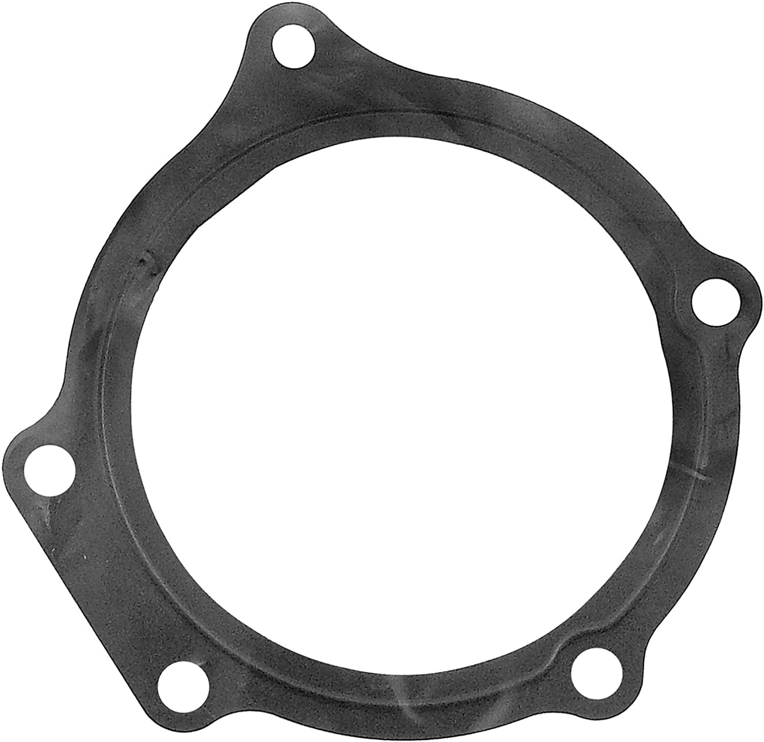 ACDelco GM Genuine Parts Water Pump Gasket 2512029