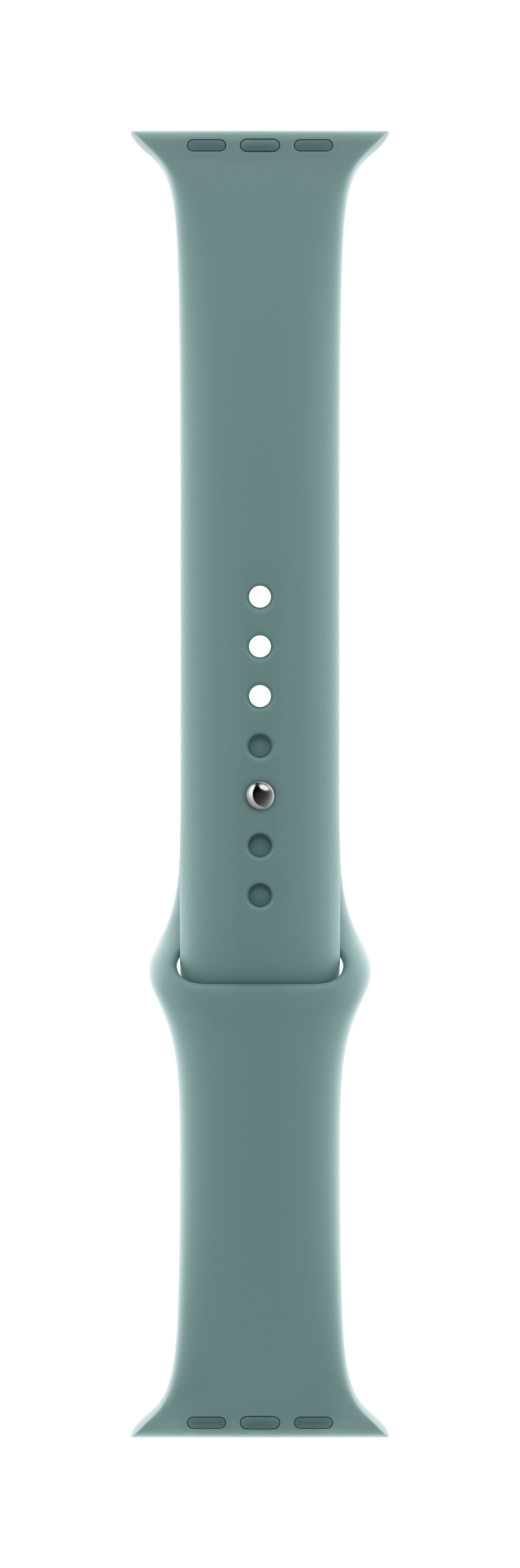 Apple Watch Sport Band -40mm- Cactus, Regular - Walmart.com