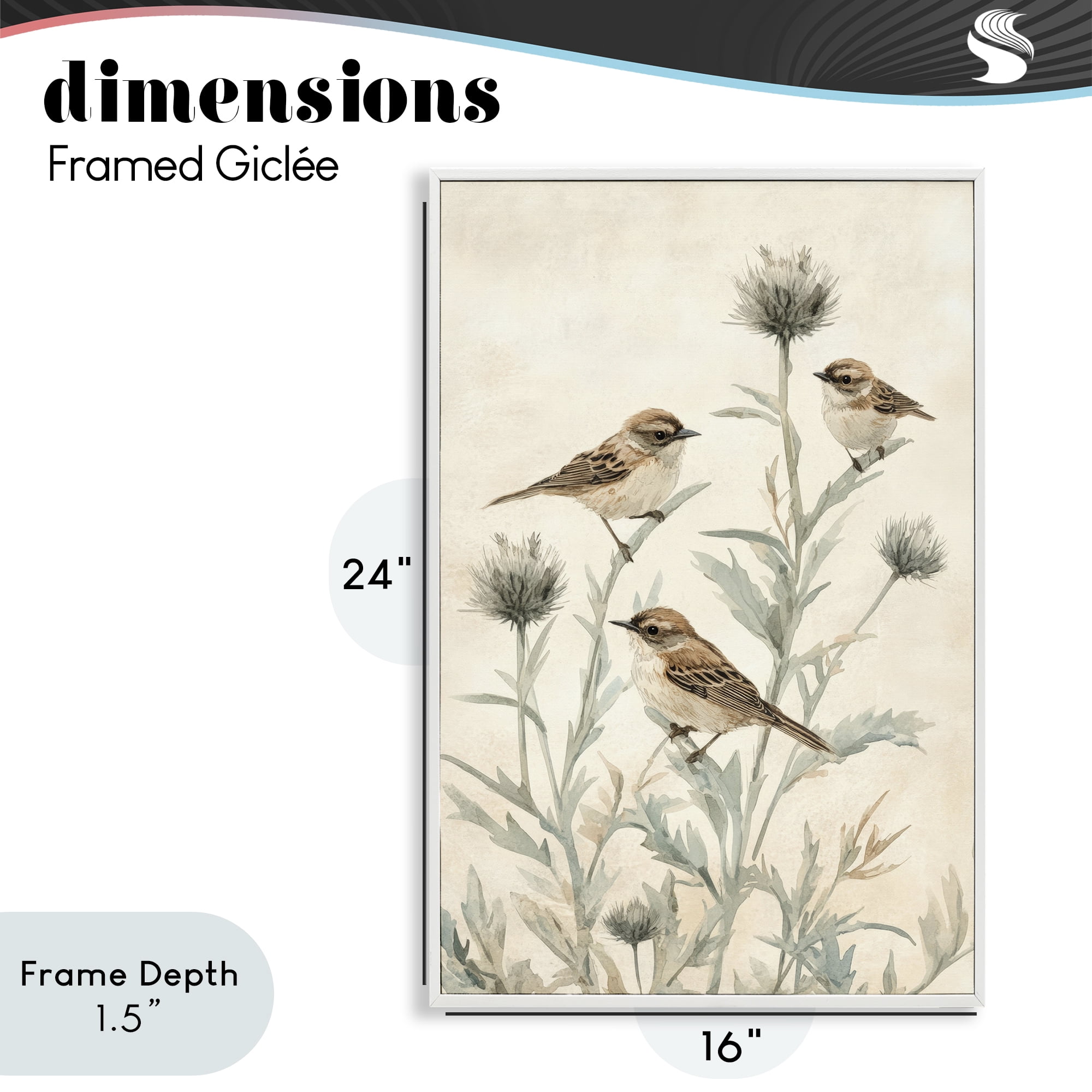 Stupell Industries Sparrows on Thistle Stems White Framed Giclee Art, design by Petal Prints Design