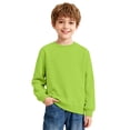 thumbnail image 2 of Resicozy Boys Sweatshirts Long Sleeve Casual Crew Neck Soft Teen Pullover Sweaters Trendy Solid Color Sweatshirt 2026 3-14 Years Green 110, 2 of 5