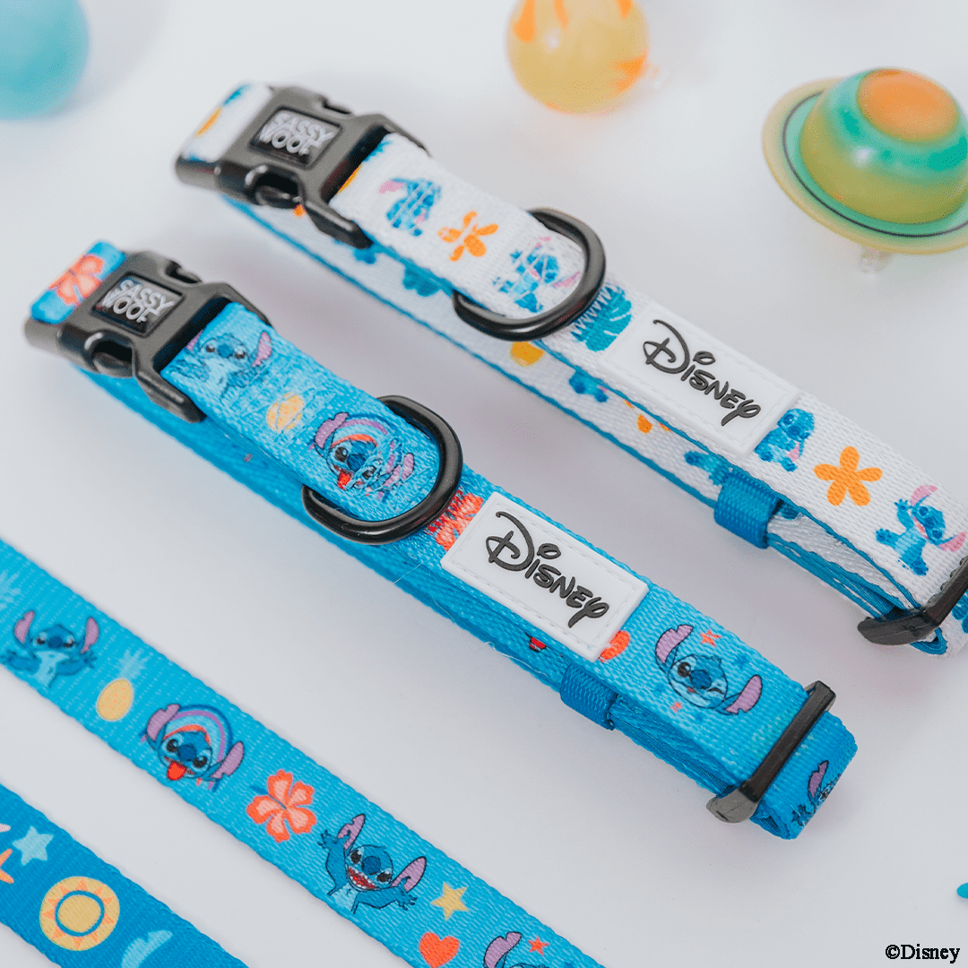 Lilo & Stitch - Sassy Woof Comfort Dog Collar with Disney's Stitch Ohana, Medium, White