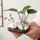 thumbnail image 3 of B Florero Hidropónico de Conejo de , Arreglo de Flores de Vidrio Transparente, Macetas para Plantas, Maceta para Decoración del Hogar, 3 of 5