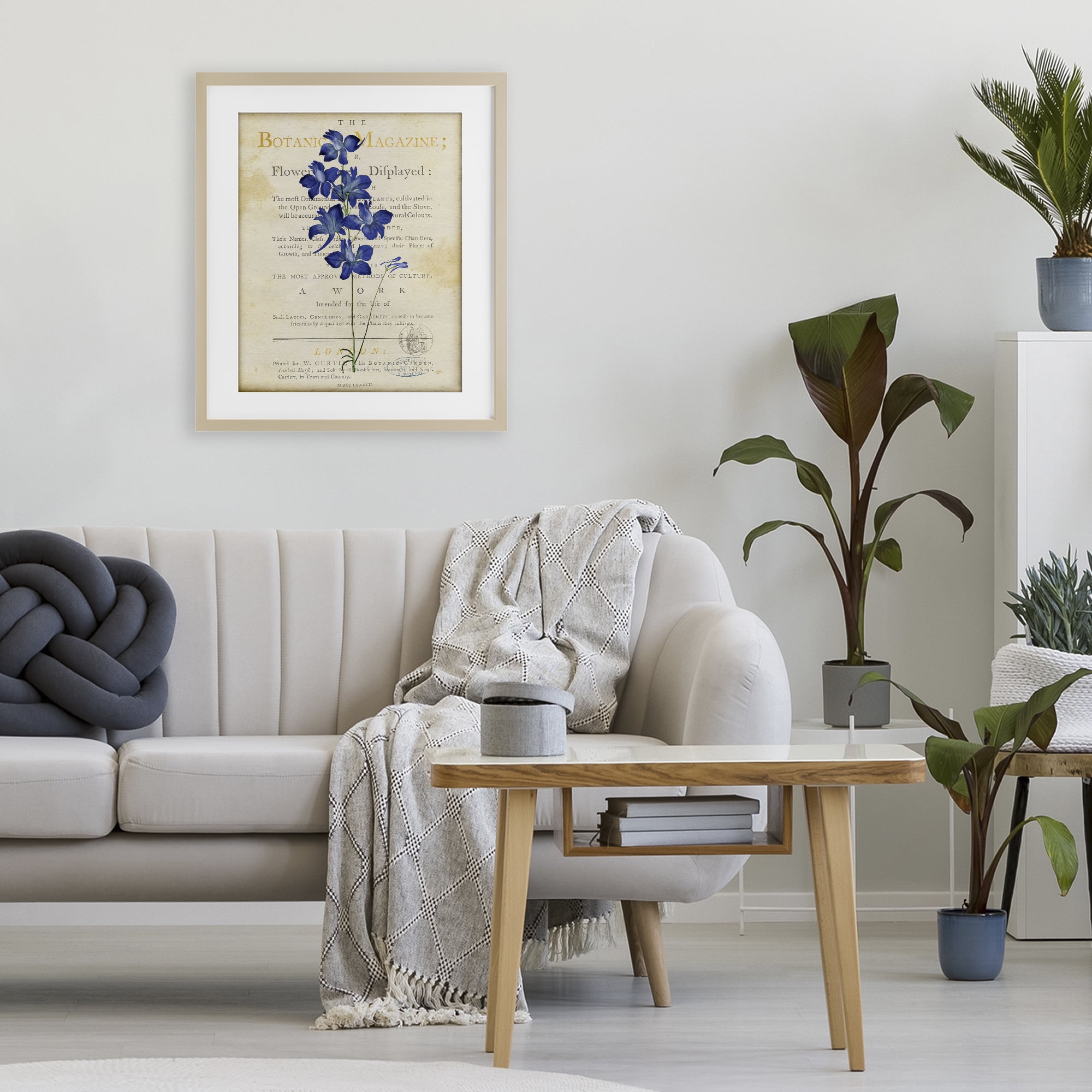 Stupell Industries Natural Botanic Garden Flower Birch Framed Print Under Glass, design by Susan Arnot