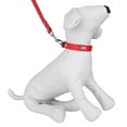 thumbnail image 2 of CUECUEPET Embellished Bone Charm Dog Collar and 44.5 inch Leash for Walking [Multiple Sizes], 2 of 5