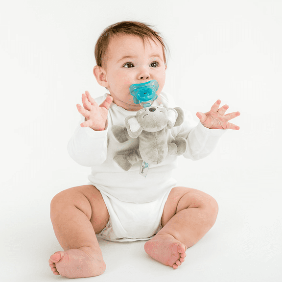 Queebi PaciBuddy Koala Pacifier Holder - Plush Toy Includes Detachable Pacifier - Adapts to Name Brand Pacifiers - Baby Gift Suitable for All Ages - Infant Binky, Soother, Paci, Plush Baby Toy