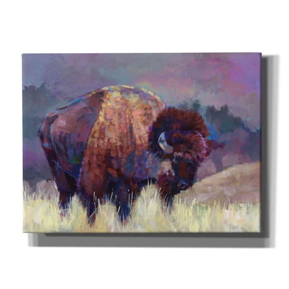 Epic Graffiti 'Buffalo Roam' by Robert Jackson, Canvas Wall Art, 16"x12"