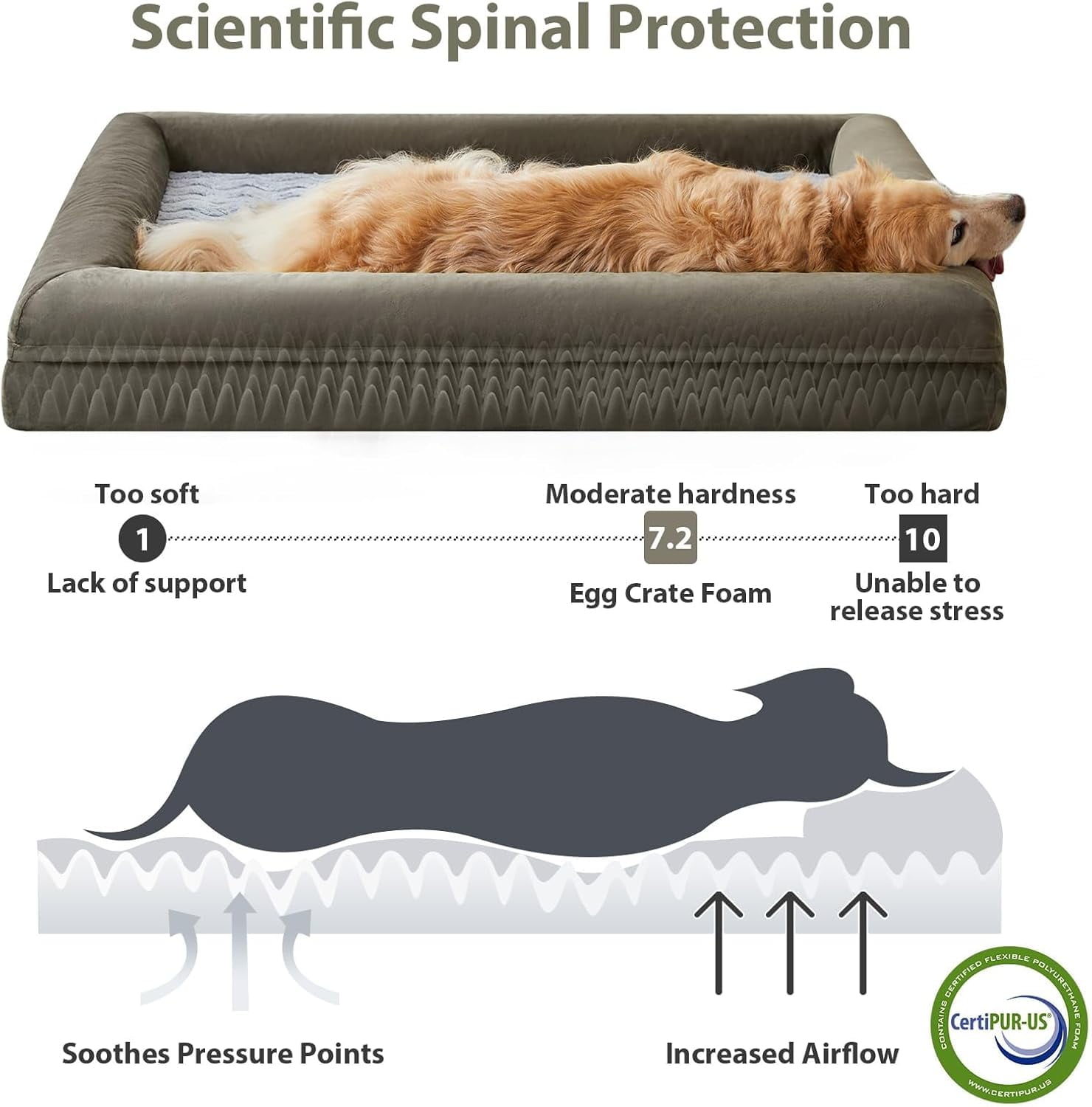 ECPXL Extra Large Dog Bed, Washable Dog Couch with Removable Waterproof Cover, Orthopedic Large Pet Sofa Bed with Bolster Sides for Sleeping