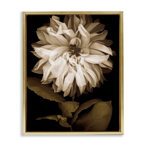 Stupell Industries Modern Modern White Chrysanthemum Petals Gold Floating Frame Canvas Art, 17 x 21, by Caroline Kelly