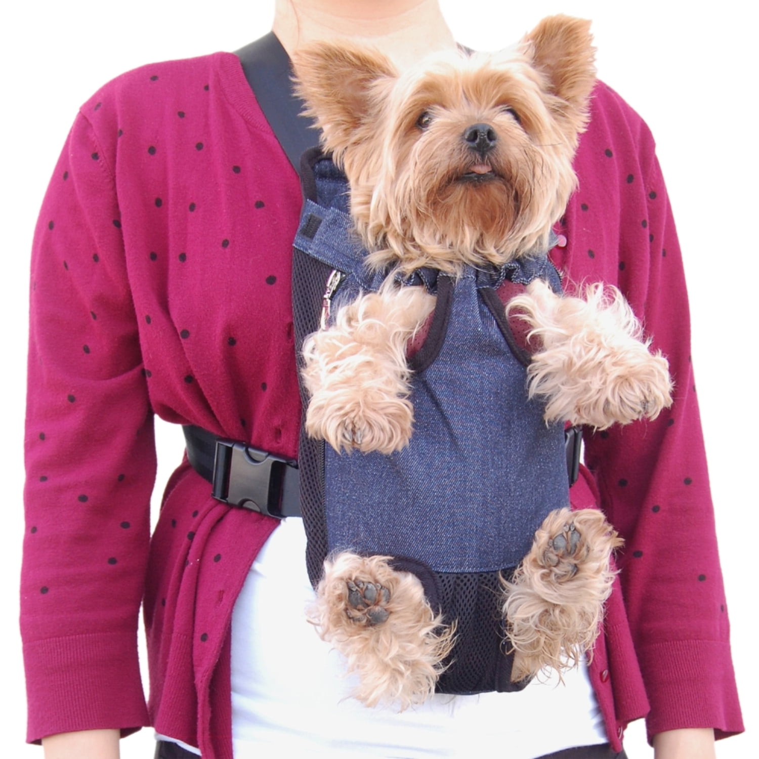 front dog carriers small dogs