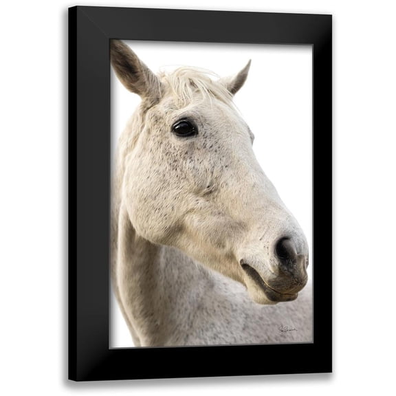 Schlabach, Sue 11x14 Black Modern Framed Museum Art Print Titled - A Horse Named Lady II