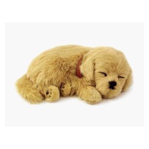 perfect petzzz golden retriever plush