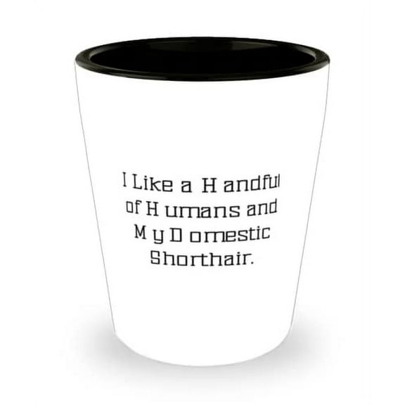 Cheap Domestic Shorthair Cat Shot Glass, I Like a Handful of Humans and My Domestic Shorthair, Reusable for Cat Lovers, Holiday