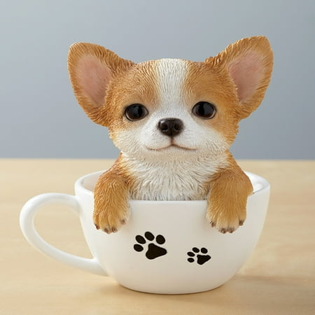 Teacup Pup Chihuahua