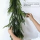 thumbnail image 4 of Seyotauo 5 Ft Artificial Norfolk Pine Garlands, Real Touch Winter Pine Garland, Green Artificial Greenery Garland for Table, Mantle, Wall, Indoor, Outdoor Christmas Decorations, 4 of 6