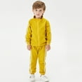 thumbnail image 3 of XBASW 3M-4T Boys Girls Tracksuit 2-Piece Set for Baby Toddler Spring Fall Zip up Sweatshirt and Jogger Pants Cotton Sweatsuit Outfit, 3 of 12