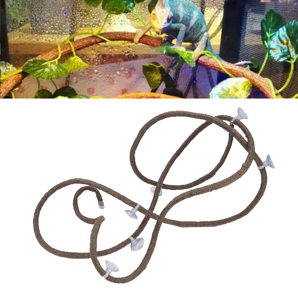 Flexible Kletteräste Für Reptilien - 3m Rattan Mit Saugnäpfen Für Terrarium Deko
