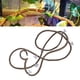 thumbnail image 4 of Rama trepadora de reptiles artificiales, selva flexible, decoración de hábitat de vid larga de ratán de 9,84 pies (S), 4 of 10