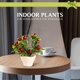 thumbnail image 3 of Bonsái de frutas, flores falsas, decoraciones artificiales creativas para el hogar, plantas verdes de simulación, 3 of 6