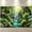 SBJ-001, variant on 7x5ft Rainforest Photography Backdrop Tropical Jungle Scenery Waterfall Background Summer Event School Classroom Party Decorations Photo Props
