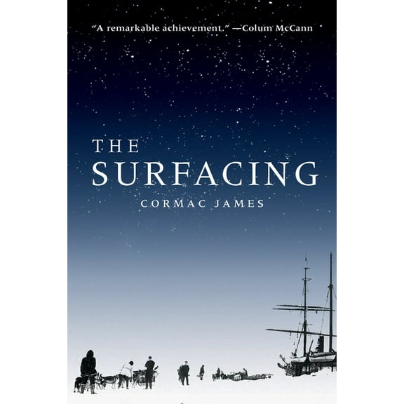 The Surfacing (Paperback)