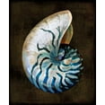 thumbnail image 2 of Kelly, Caroline 26x30 Black Ornate Wood Framed with Double Matting Museum Art Print Titled - Ocean Treasure IV, 2 of 4