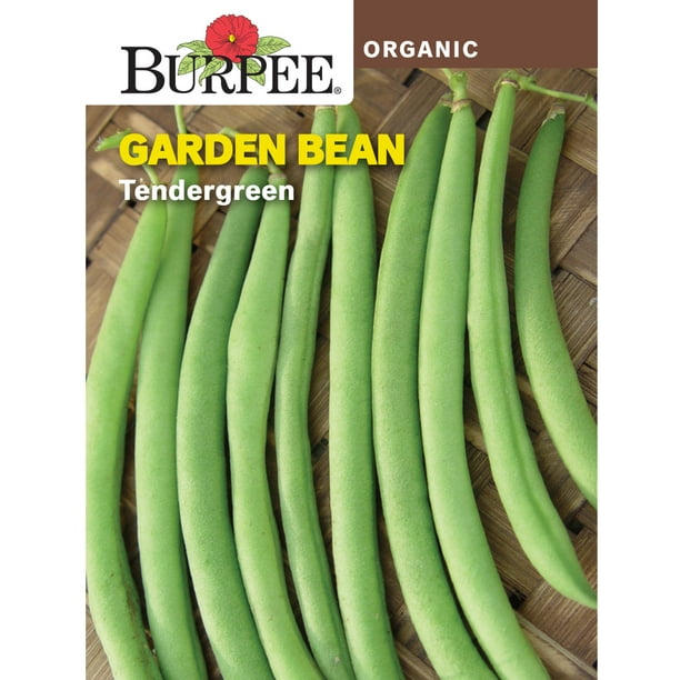 Burpee Organic Tendergreen Heirloom Garden Bean Seed, 1Pack Walmart