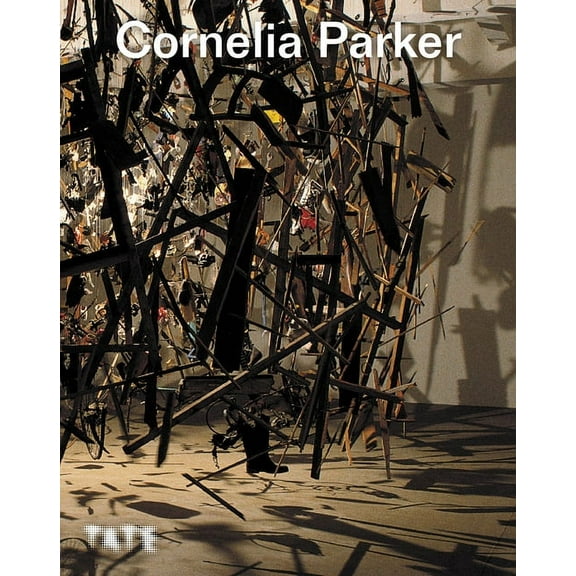 Cornelia Parker : Exploring Her Art and Craft (Paperback)