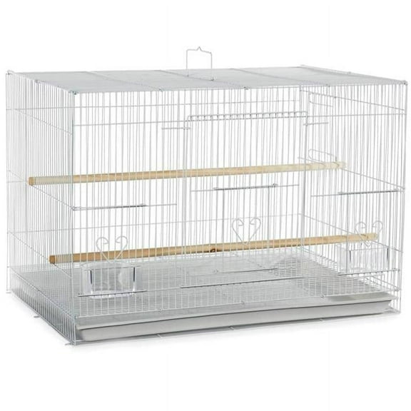 A&E Cage 504 White SP 30 x 18 in. Flight Cage in Color Retail Box, White