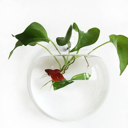Noodoky Betta Fish Tank Bowl 9in, Wall Mounted Beta Fish Small Aquarium, Hanging Plastic Wall Decor for Plant Fish Ecosphere (0.5 Gallon)