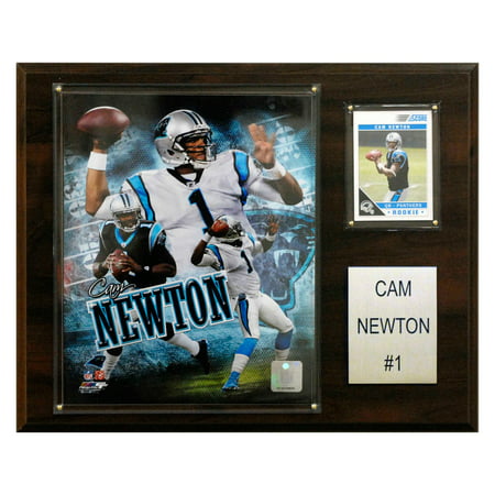 C&I Collectables NFL 12x15 Cam Newton Carolina Panthers Player
