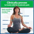 thumbnail image 3 of Salonpas Mild to Moderate Pain Relief Patch, Large, 9 Count, 3 of 9