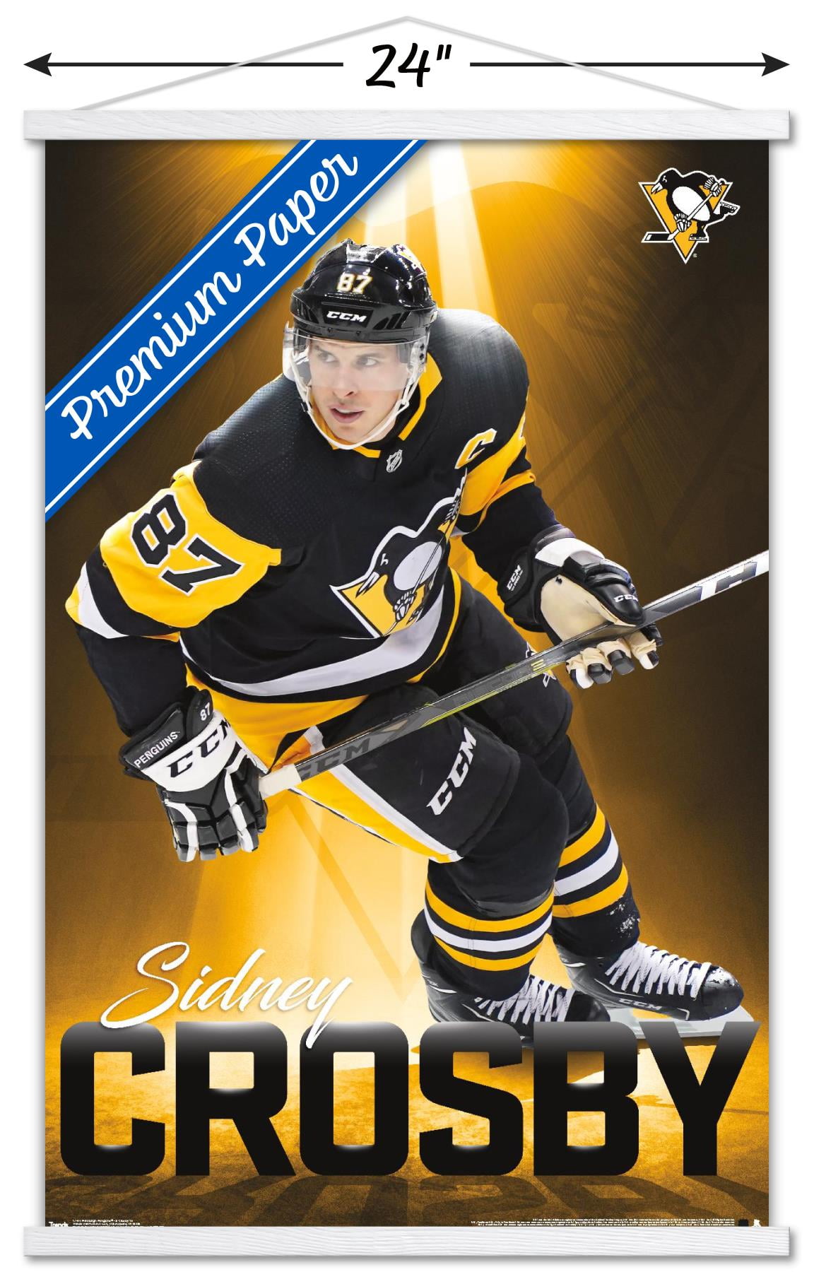 Pittsburgh Penguins Sidney Crosby 22.4'' x 34'' NHL Players Poster