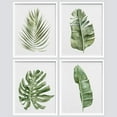 thumbnail image 3 of PixonSign Framed Wall Art, Banana Palm Monstera Leaf Posters, Set of 4 Green Pastel Wall Decor Prints, Nature Wilderness Plant Wall Décor Artwork for Living Room, Bedroom, Office - 12"x16" White, 3 of 5