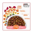 thumbnail image 4 of Alimento para perro Beneful Cachorros Salmón 4 kg, 4 of 6