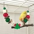 thumbnail image 3 of Rodents Chew Toy Chewing Cluster Rattan Balls for Chinchillas Guinea Pigs, 3 of 9