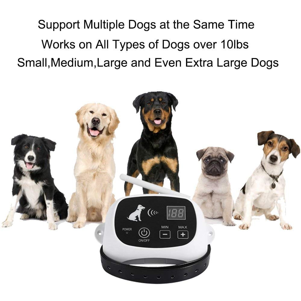 Wireless dog fence walmart canada Clearance