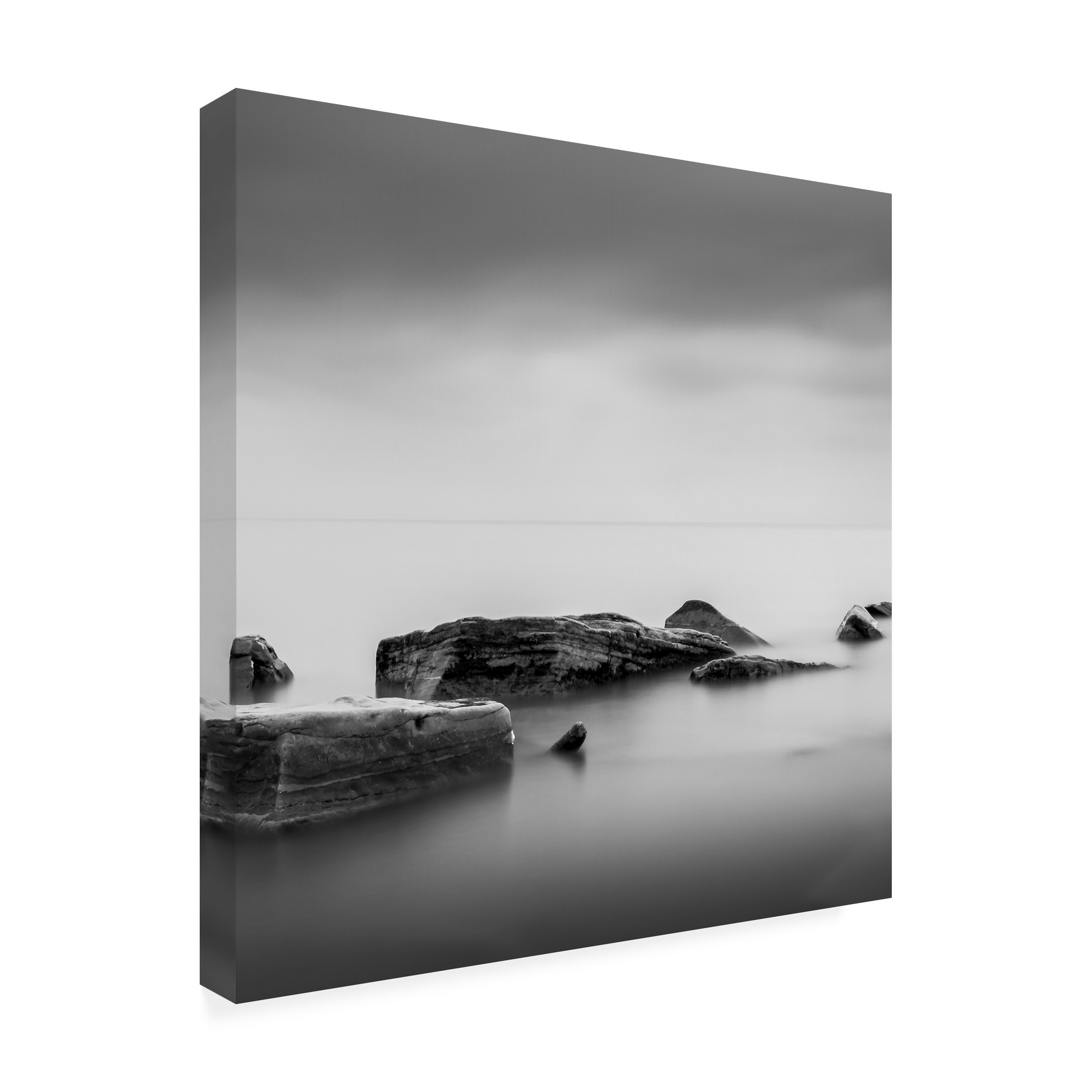 Trademark Fine Art Dave MacVicar 'Calm' 14 x 14 (ALI0824-C1414GG)