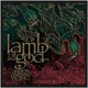 thumbnail image 1 of Lamb Of God - Parche Diseño Estándar Ashes Of The Wake (Negro, Rojo, Verde), 1 of 2