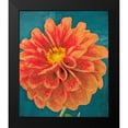 thumbnail image 2 of Greene, Taylor 20x23 Black Modern Framed Museum Art Print Titled - POPPY IN BLOOM, 2 of 5