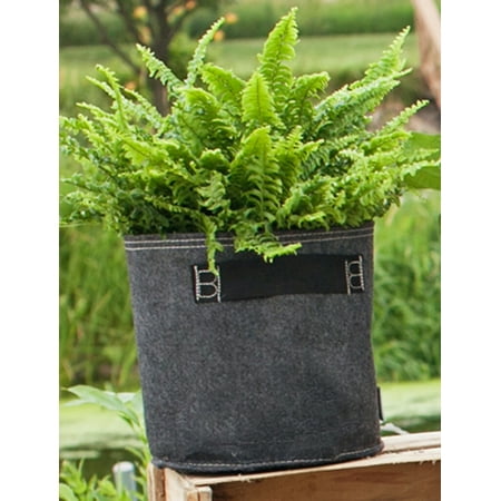 Bloembagz Down Dirty Fabric Grow Bags Pot Planter 3 Gallon Bloembagz Down Dirty Fabric Grow Bags Pot Planter 3 Gallon