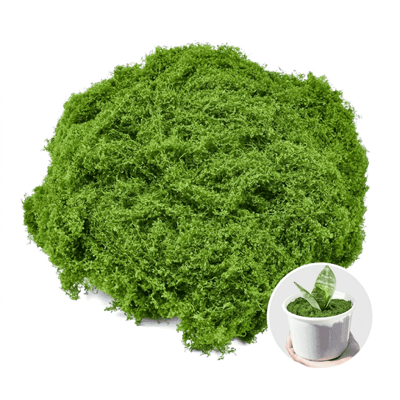 CNDRLEF Green Decorative Moss, 7 oz Loose Craft Moss for Planters, Potted Plants, Terrariums, Fairy Gardens, Centerpieces & DIY Decor