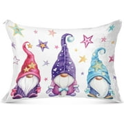 Bestwell Cute Gnomes Plush Pillow Case,Zippered Bed Pillow Pillowcases,Super Soft and Cozy Pillowcase Covers for Sleep Decoration - Standard Size 20x26in