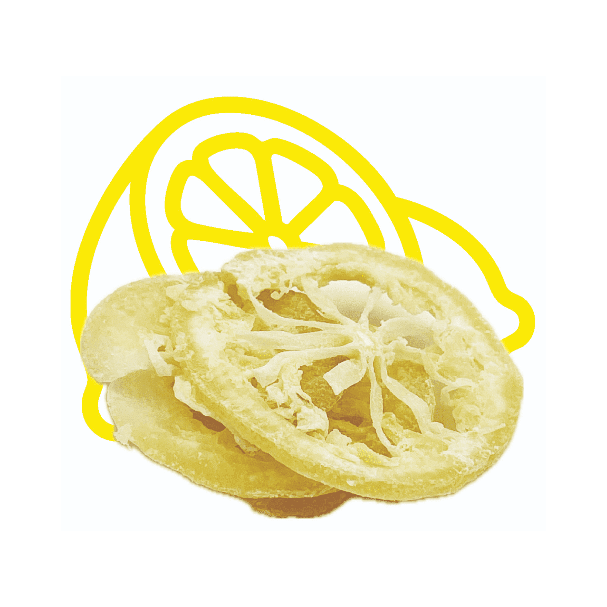 Fresh Gravity Dried Lemon Slices - Fresh, Sweet & Sour | Ready-to-Eat Citrus Snack (65g x 6)