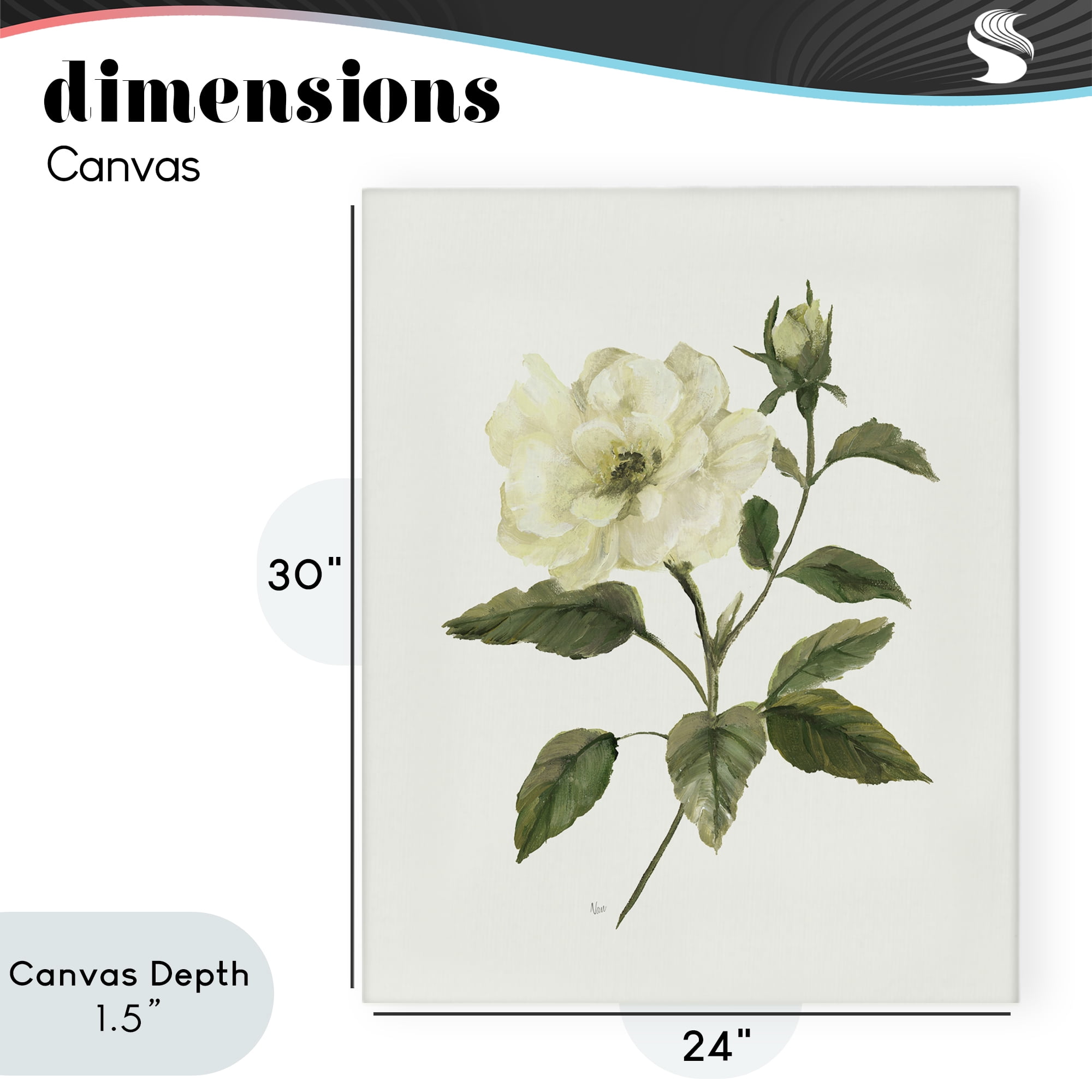 Stupell Industries Ivory Rose Bloom With Green Foliage Canvas Wall Art, design by Nan