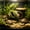 D, variant on Reptile Hideout Artificial Tree House Cave, Turtle Basking Terrace Rock Shelter for Aquarium Landscape Decoration and Pet Climbing Habitat