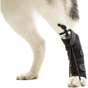 Walkin' Rear No-Knuckling Training Sock | Helps Dogs Pick up Their Feet When Knuckling Under or Dragging Their Rear Paws