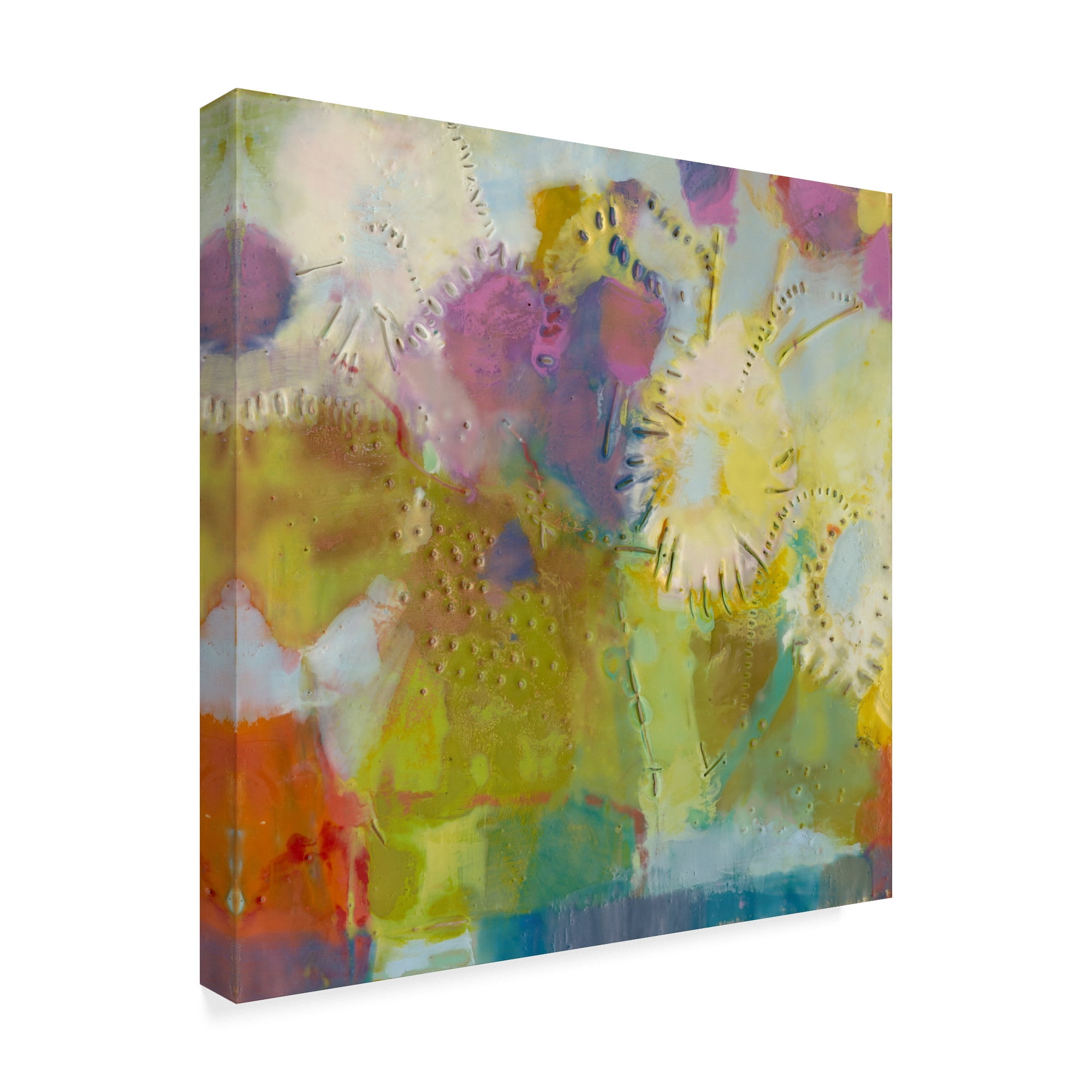 Trademark Fine Art 'Floare II' Canvas Art by Sue Jachimiec