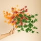 thumbnail image 1 of Xihbxyly Hojas de Arce Artificiales, Tallos Decorativos Otoñales, Ramo de Seda Otoñal, Hojas Vibrantes En Naranja, Rojo y Verde, Centros de Mesa para Bodas, Decoración para El Hogar y La Oficina, 23,, 1 of 6