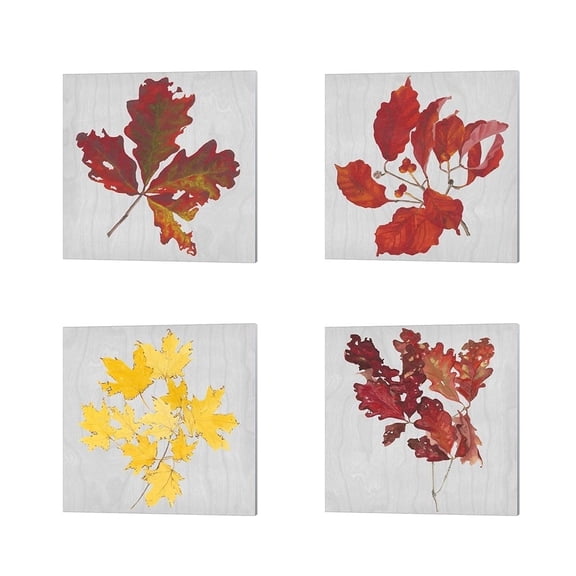 Metaverse Dianne Miller 'Autumn Leaves B' Canvas Art (Set of 4)
